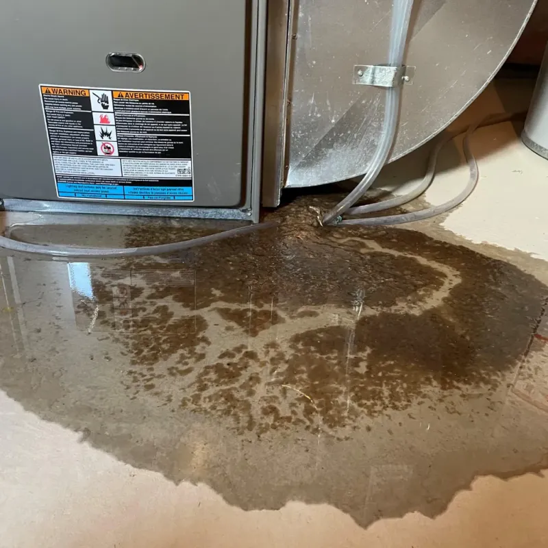 Appliance Leak Cleanup in West Orange, TX